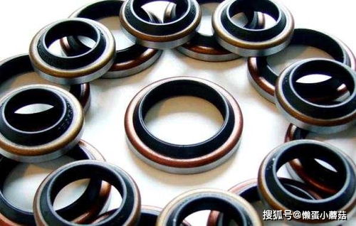 泵上油封漏油的原因分析与密封件对策